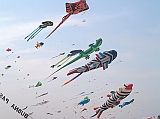 Cervia 2011-111